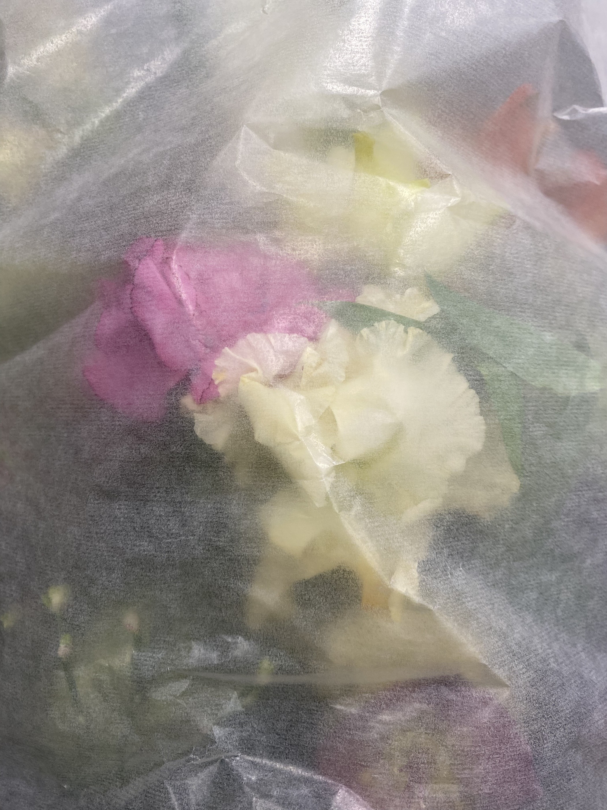 Flowers behind translucent fleece