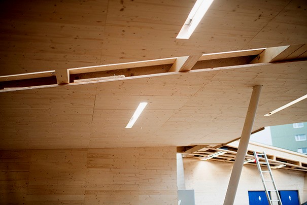 DIE BLUME, ceiling with light strips